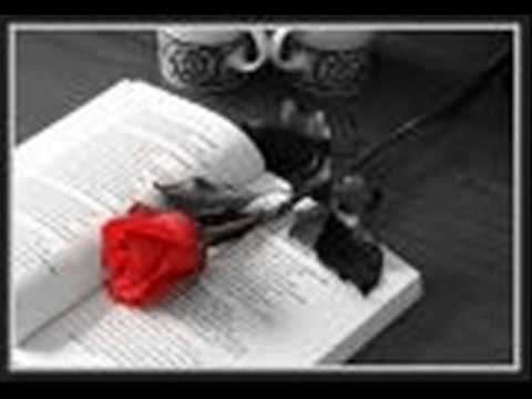 فضل شاكر حظك يا قلبي