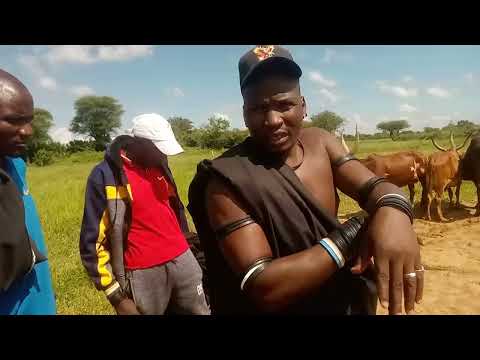 NDAMA JIGUSHILAGA AKIONYESHA NG OMBE UTACHEKA