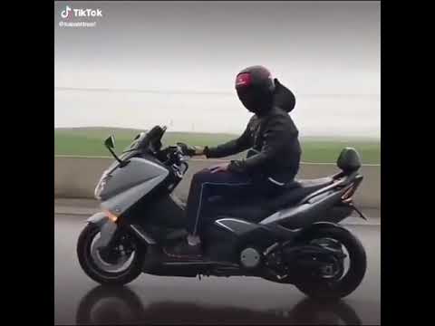 راكي شافية على ليفات