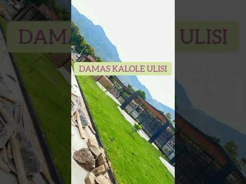DAMAS KALOLE ULISI By Dmk Group