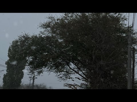 Inalery Eternal Winter