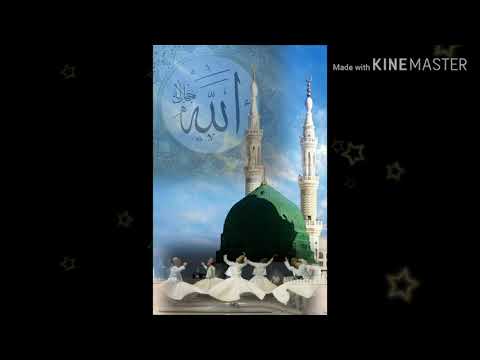 حضرة صوفية بقصيدة رسول الله محمد ﷺ والله لولا الله ماهتدينا