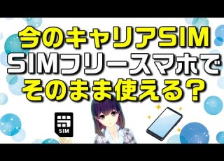 SIMフリーのスマートフォンにそのまま既存のキャリア ドコモ Au ソフトバンク ワイモバイル 楽天モバイル SIMを挿して使う方法を解説します
