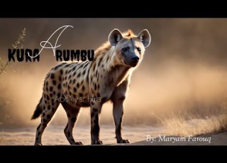  KURA A RUMBU 47
