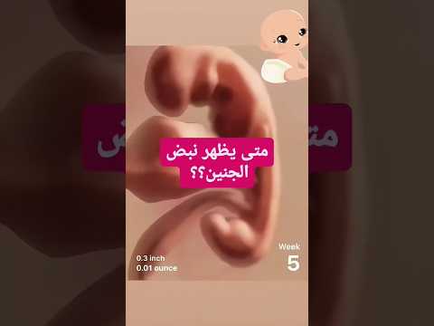 متى يظهر نبض الجنين اثناء الحمل في السونار حوامل حامل الجنين سونار متى يظهر نبض الجنين اثناء الحمل في السونار حوامل حامل الجنين سونار