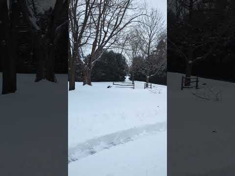 Snow Near Toronto February 13 2025 Snow Winter