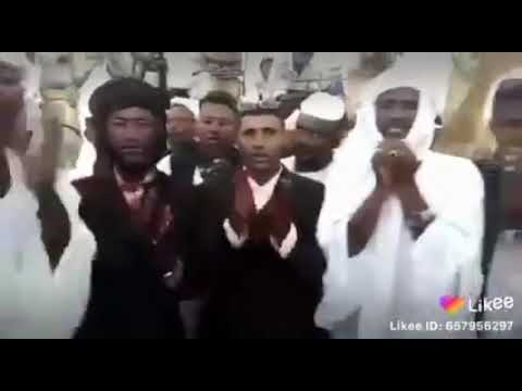 قبيله الشنابله