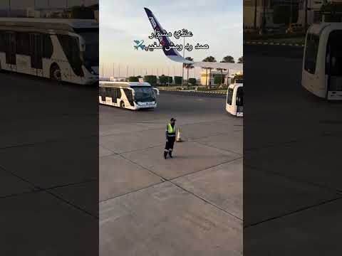 عندي مشوار صد رد مش هسيب