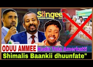  AMMEE Shimallis Baankii Dhuunfate Siinqe Kadir Tola Amerkatti AGM OMN