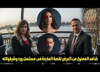 بداية تعارف على التلفزيون وقبل مقتلها حذرت الستات مع لميس الحديدي شيماء جمال ومسلسل ورد وشيكولاته