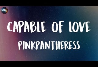 PinkPantheress Capable Of Love Lyrics