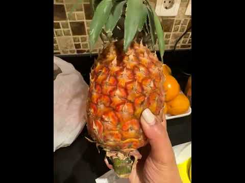 Prices In Addis Ababa Ethiopia Basic Food Prices In Addis Ababa Ethiopia