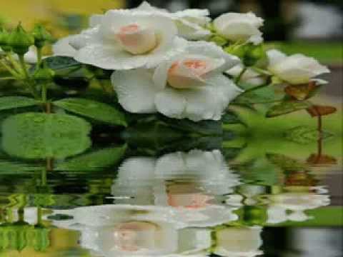 ღ قد أيه حبيتك أنت مها صبرى