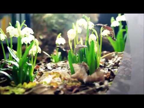 إبتهال ما قبل الأفطار والأذان بصوت النقشبندي كل عام وانتم بخير إبتهال ما قبل الأفطار والأذان بصوت النقشبندي كل عام وانتم بخير