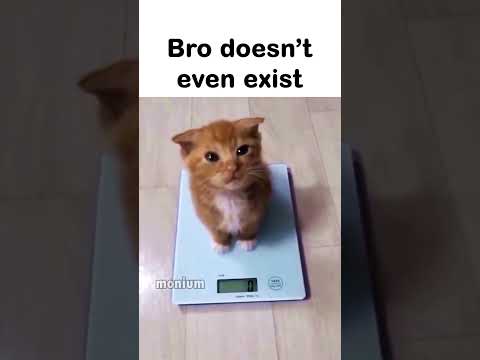 Bro Is 0 Grams