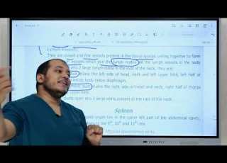  Lymphatic System Anatomy تشريح الجهاز اللمفاوي ببساطه