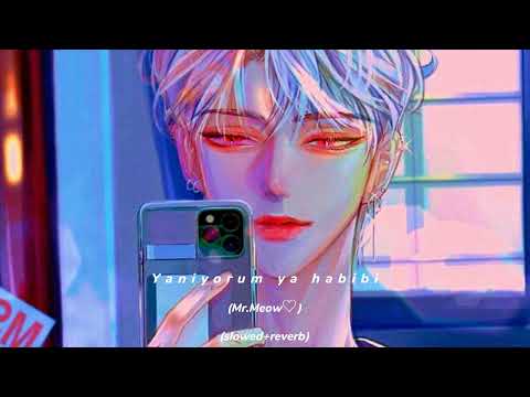 Yaniyorum Ya Habibi Slowed Reverb