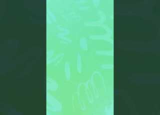  August 1 2025