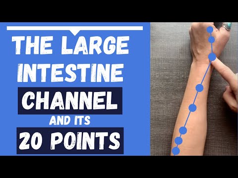 The Large Intestine Channel Meridian Large Intestine Acupuncture Points The Large Intestine Channel Meridian Large Intestine Acupuncture Points