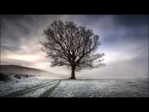 سورة آل عمران من مصحف الحدر للشيخ أحمد ديبان وفقه الله