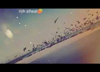 كل ما نحلم باجر احسن يطلع باجر كله جروح حالات واتس