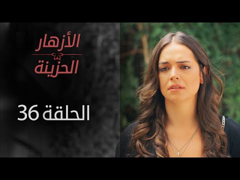 مسلسل الأزهار الحزينة الحلقة 36 الموسم الأول