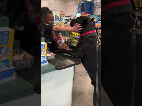 Louie S Daily Store Run Foryou