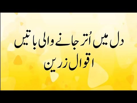 Best Urdu Quotes About Life اقوال زریں