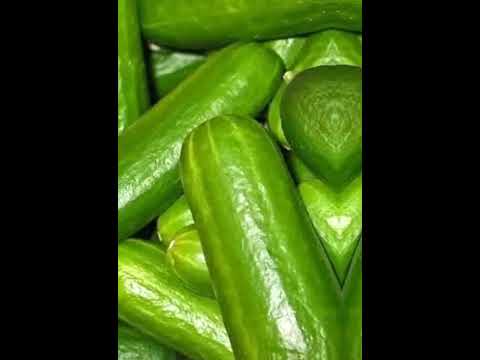 كيلو طماطم كيلو خيار تبقى حبيبي شو ما صار الفيديو Shorts