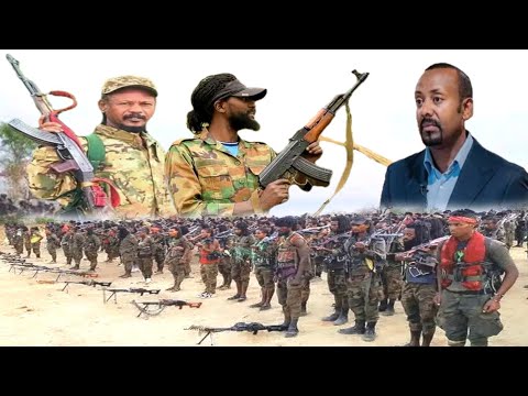 ODUU Ammee WBO Kibbaa Galuu Motumman Himuus Lolatii Jirra Jedhan Ajajaan WBO Moha Oromo