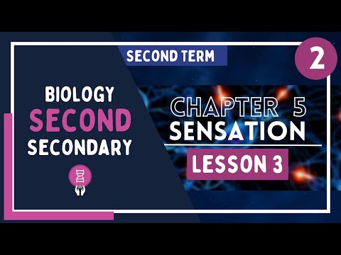 Biology 2nd Secondary Egypt Second Term Chapter 5 Lesson 3 Part 2 3
