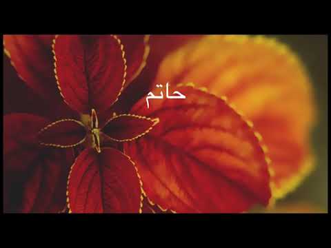 من روائع حاتم الطائي