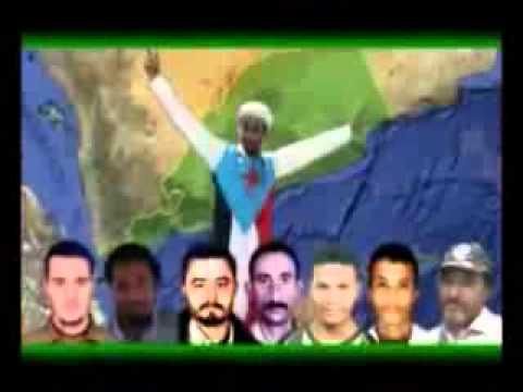 قصيه مرسله من ابو ريم الضالعي للمعمري