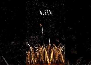  HAPPY BIRTHDAY WESAM