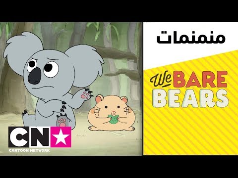 الدببة الثلاثة نوم نوم والهامستر كرتون نتورك