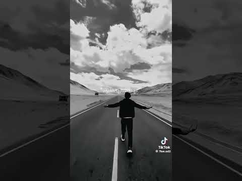 وانظر الى تلك النجوم مهما تغطيها الغيوم ستبقى تلمع في السماء حرا وانظر الى تلك النجوم مهما تغطيها الغيوم ستبقى تلمع في السماء حرا