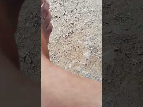 اردم اردم يا دنياee