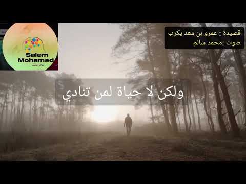 قصيدة لقد أسمعت لو ناديت حيا ولكن لا حياة لمن تنادي بصوت الأستاذ سالم كلام من ذهب الشعر