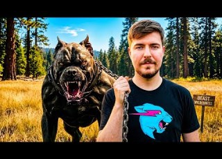  بالعربي مستر بيست بالعربي Mr Beast تحدیات مستر بیست تنجو في الغابه ستربح 10 000 دولار