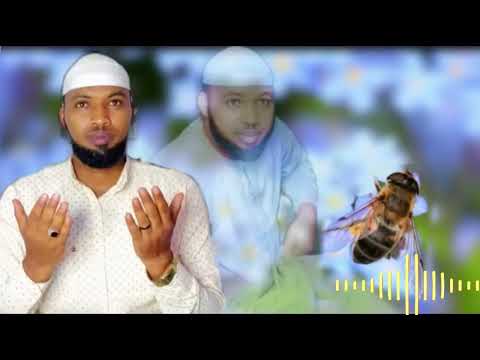 Hulaa Tee Duran Jiraa Bar Asitin Gallee Nashiida Afaan Oromoo Bareeddu Itin Boharaa