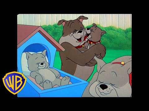 Tom Jerry The Best Doggy Dad Ever Father S Day Classic Cartoon Compilation Wbkids