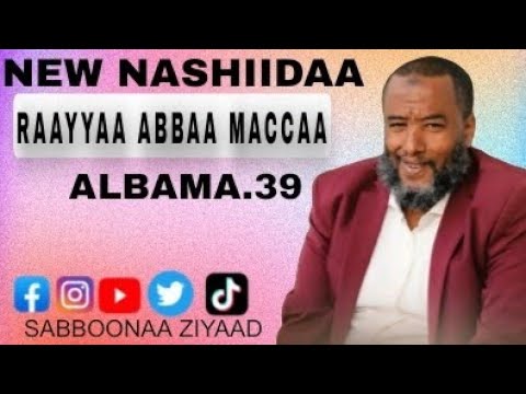 Raayyaa Abbaa Maccaa Nashiidaa Haarawaan Dhufee Jira Kunoo