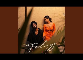 Feelings