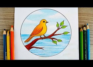 رسم تعليم رسم منظر طبيعي عصفور على غصن شجرة خطوة بخطوة بالالوان الخشبية رسم سهل رسومات