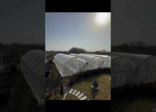 Весна пришла ПЕТРОВЧАНКА ЛЕРА Petrovchanka Lera Garden жизньзагородом огород Shorts