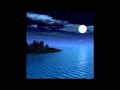 عمر خيرت في هويد الليل غوايش