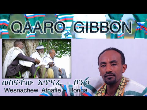 Wesnachew Atnafie Bonga Ethiopian Kaffa Song Qaaro Gibbon Wesnachew Atnafie Bonga Ethiopian Kaffa Song Qaaro Gibbon