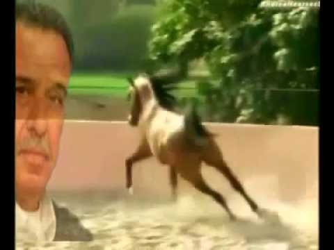 موسى حافظ مري و ضحكي MAHER