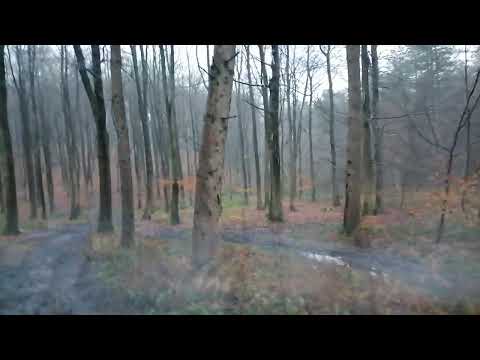 ثم تحول المطر إلى ثلج وظهرت أغنية