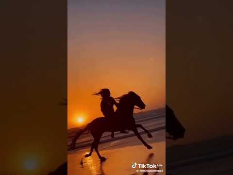 اه من هم الفراق اغنية اكيد اول مره تسمعها يارب تعجبكم